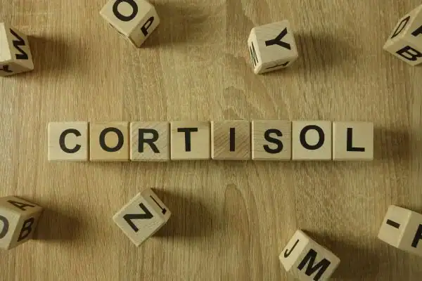 The Hidden Connection: How Stress Shapes Your Fitness and Body Composition 2 Image saying "Cortisol" and how stress Felixstowe impacts your wellbeing and bodies shape